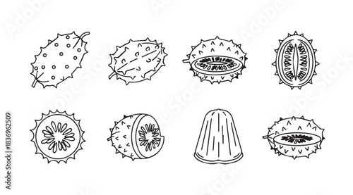 Exotic fruits collection hand drawn sketch style art for healthy food designs vector