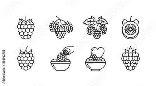 Hand drawn sketchy berry fruit icons set healthy organic food summer harvest collection vector
