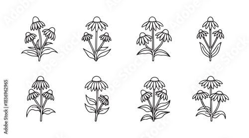 Set of eight stylized floral designs botanical sketches hand drawn flowers elegant line art elements vector