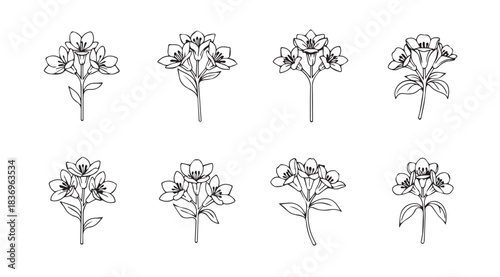 Collection of delicate hand-drawn hydrangea flower bouquets for artistic floral designs vector
