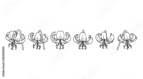 Six intricate white line art depictions of mythological creatures with wings in a row vector