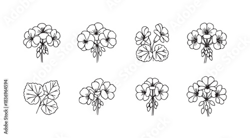 Collection of delicate hand-drawn floral bouquets artistically arranged botanical designs vector