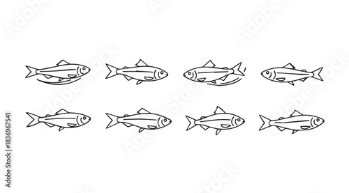 Eight hand drawn sketch style fish illustrations in a collection for aquatic art and design vector