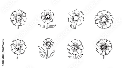 Delicate hand drawn flower sketches collection featuring botanical floral designs vector