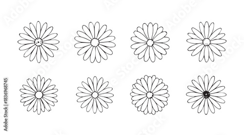 Eight stylized daisy flower line drawings isolated artistic floral elements collection vector