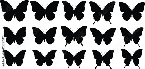 Set of black butterfly silhouettes in diverse shapes and wing patterns, symbolizing nature, spring, freedom, and beauty for elegant graphic design.
