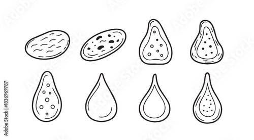 Hand drawn collection of various organic shapes and natural elements in sketch style vector