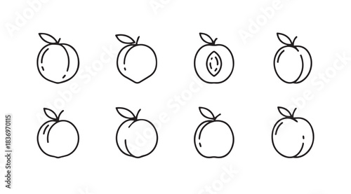 Hand drawn peach icons set fresh fruit collection graphic design elements collection vector