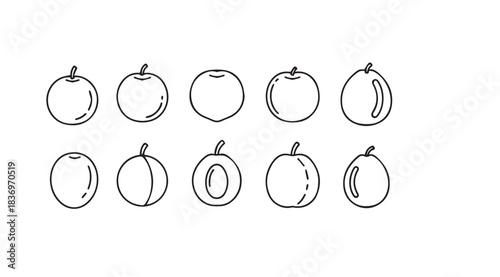 Hand drawn fruit collection simple line art sketch botanical outline organic produce apple peach pear vector