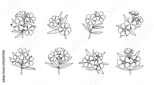 Set of eight hand-drawn botanical floral arrangements in sketch style for elegant design vector
