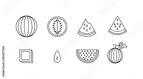 Collection of hand drawn watermelon and fruit slice elements for refreshing summer designs vector