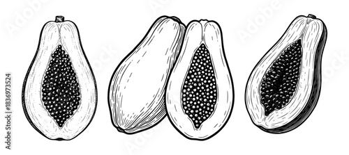 Set of papayas, vintage engraving