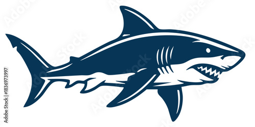 Detailed Aggressive Shark with Open Mouth and Sharp Teeth Vector