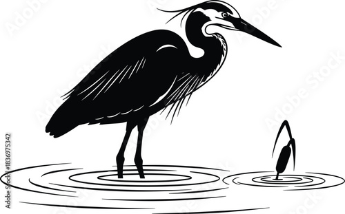 Black and White Heron Vector Silhouette, Wading Bird Hunting Fish in Water Ripples, Stylized Wildlife Graphic Illustration, Isolated Design Element for Logo or Print.