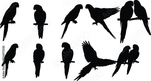 Extensive Black and White Vector Collection of Parrot and Macaw Silhouettes, Featuring Birds Perched and in Flight, Perfect for Tropical Nature, Wildlife, and Exotic Pet Themes.