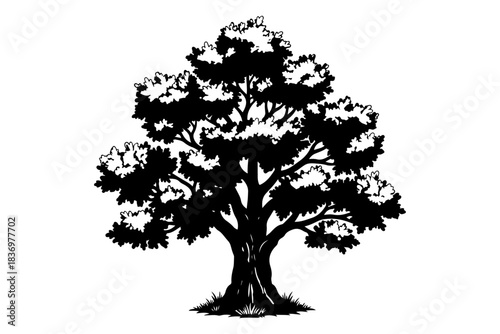 Elegant black and white drawing of a full-grown tree, showcasing its expansive crown and strong roots, an emblem of enduring life and environmental stability