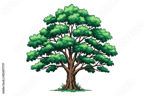 Vibrant Green Tree with Lush Foliage and Sturdy Trunk - Symbol of Nature and Growth