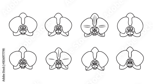 Set of stylized orchid flower line drawings with delicate petals and intricate details vector