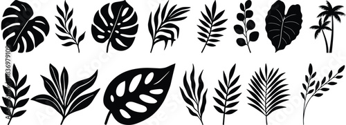 Tropical leaves vector. Set of palm leaves silhouettes isolated on white background. vector set of tropical leaves with a simple silhouette style.Collection of black silhouette tropical leaves 