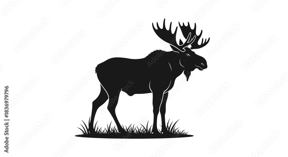 Fototapeta premium Moose silhouette standing in grass with transparent background