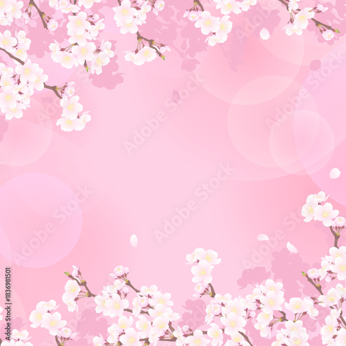 さくらのフレーム⑱正方形_上下_ピンク_影