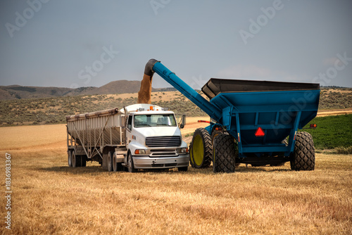 Canvastavla Unloading wheat from a harvester into a truck