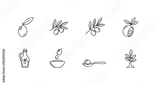Hand drawn sketch collection of olive oil elements and ingredients for culinary and health themes vector