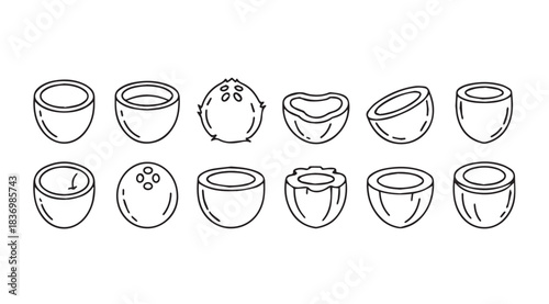 Collection of hand drawn coconut illustrations in various styles and stages of preparation vector