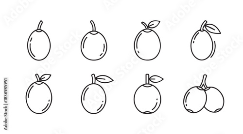 Collection of hand-drawn sketchy fruits with stems and leaves black and white simple designs vector