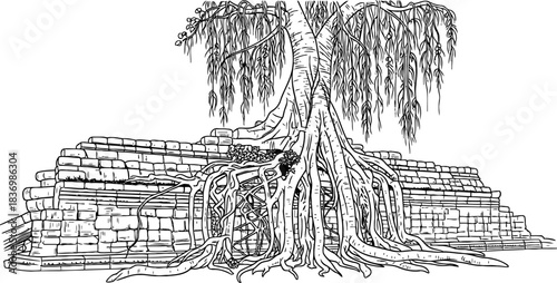 ancient roots natures enduring embrace on forgotten stones, a graphic tale, isolated on transparent background