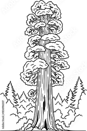 ancient sentinel towering witness to timeless natural majesty and enduring growth, isolated on transparent background