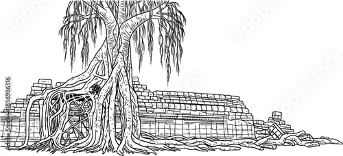 ancient roots embrace fallen stone natures enduring triumph over time, isolated on transparent background