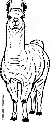 andean spirit a charming llama icon for whimsical and authentic design, isolated on transparent background