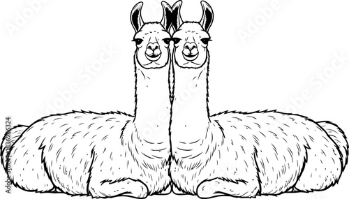 andean reflections two friendly llamas gazing, symbolizing connection and calm, isolated on transparent background