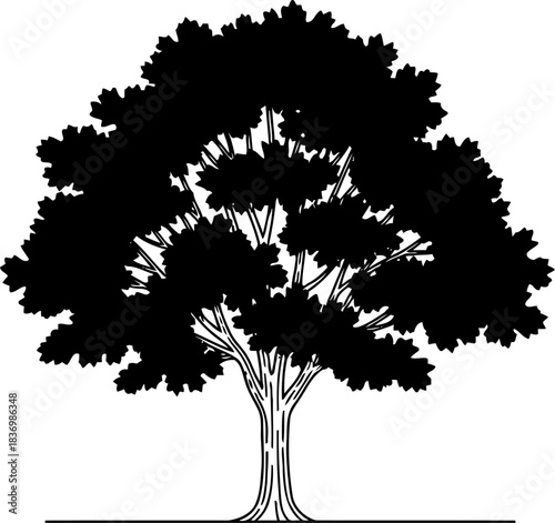 arboreal anchor rooted in timeless design, symbolizing growth and enduring resilience, isolated on transparent background