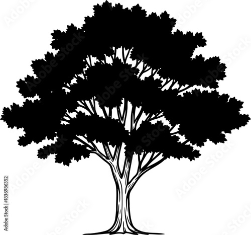 arboreal blueprint timeless graphic of natures enduring form and growth, isolated on transparent background