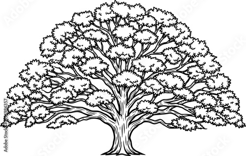 arboreal legacy natures enduring embrace, illustrated in timeless ink, isolated on transparent background