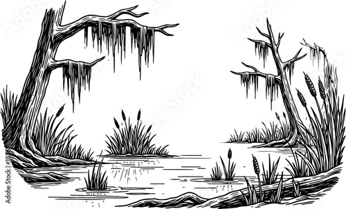 bayous embrace a handdrawn journey through untamed wetlands and mystical depths, isolated on transparent background