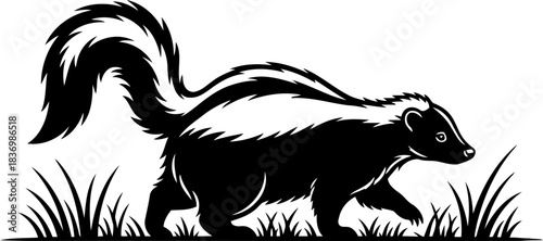 bold stripes, silent stride natures distinctive wanderer in monochrome serenity, isolated on transparent background