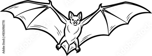 ebon winged enigma a nocturnal spirit soaring through twilights embrace, isolated on transparent background