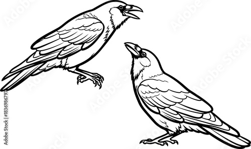 echoes of wisdom a ravens call in stark graphic form, isolated on transparent background