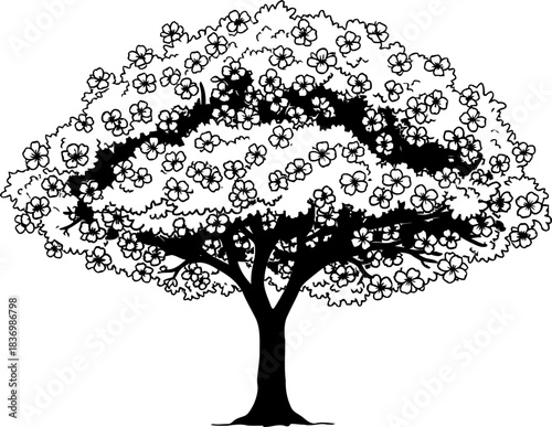 elegance in bloom a stylized tree celebrating natures unfolding beauty, isolated on transparent background