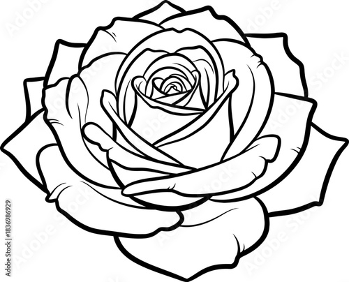 eternal bloom classic rose outline, awaiting your unique touch of color and story, isolated on transparent background