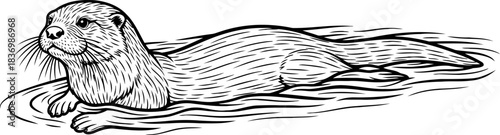 flowing lines, living current otters dynamic grace in artistic illustration, isolated on transparent background