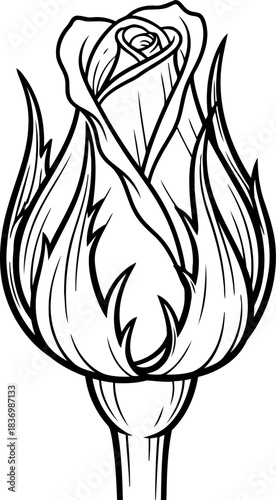 grace in waiting the elegant rosebud symbolizing new beginnings and pure potential, isolated on transparent background