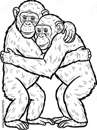 heartfelt connection chimpanzee companions embracing in detailed line art, isolated on transparent background
