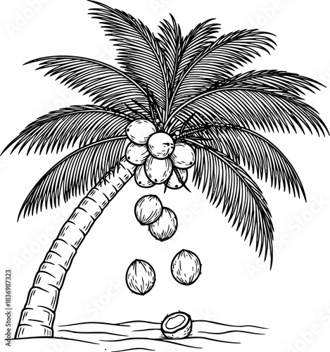 island essence fresh coconuts harvested by gravity, a taste of paradise, isolated on transparent background