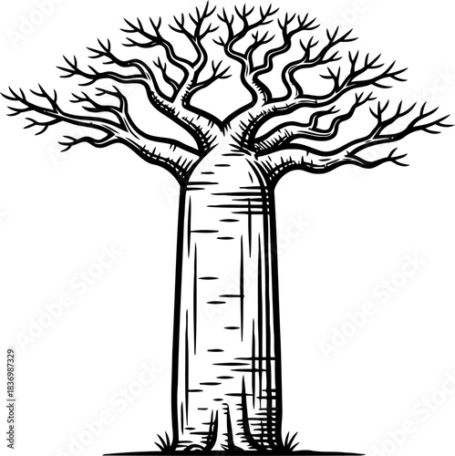 inverted sky roots baobabs powerful silhouette, witness to centuries of earths stories, isolated on transparent background