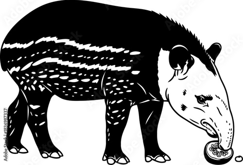 jungles gentle forager a tapirs monochrome feast in natures embrace, isolated on transparent background