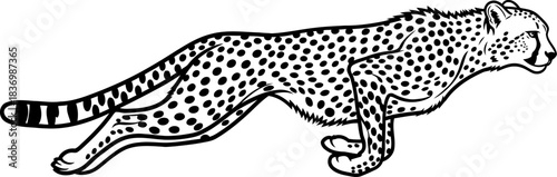 lightning in spots the exhilarating rush of a cheetahs powerful stride, isolated on transparent background